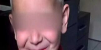 Αποζημίωση μαμούθ ζητάει ο ιδιοκτήτης των 8 ροτβάιλερ που σκότωσαν και κατασπάραξαν τον πεντάχρονο Στάθη