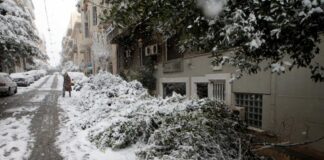 ΚΕΔΕ για διακοπές ρεύματος: Οι Δήμοι δεν έχουν ευθύνη για το κόψιμο των δέντρων