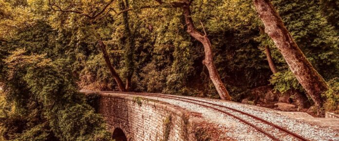 continuing_along_the_railway_tracks_you_pass_through_the_forest_towards_milies-1
