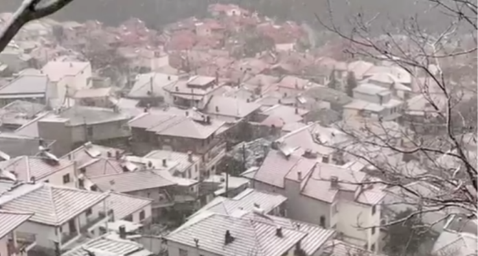 larisa-xioni