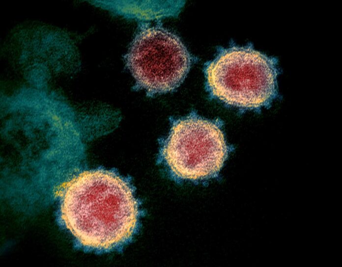 CORONAVIRUS-MATHS-1536x1200