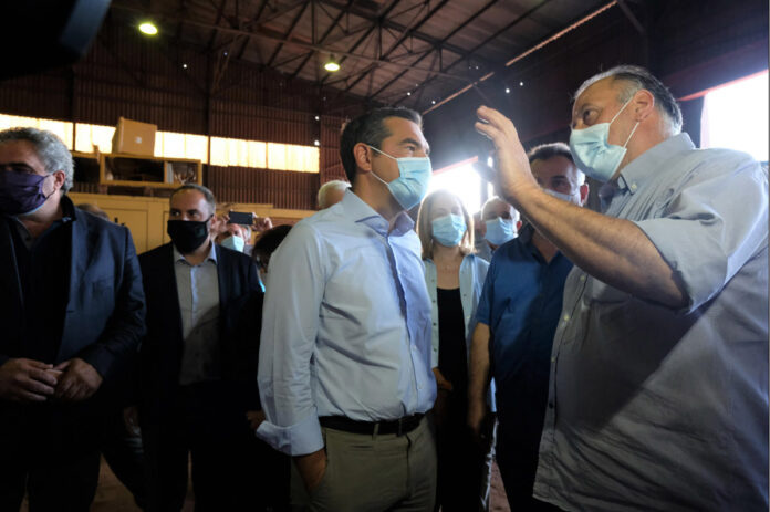 tsipras xalkida