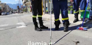 Φίδι αναστάτωσε θαμώνες καφετέριας και οδηγούς