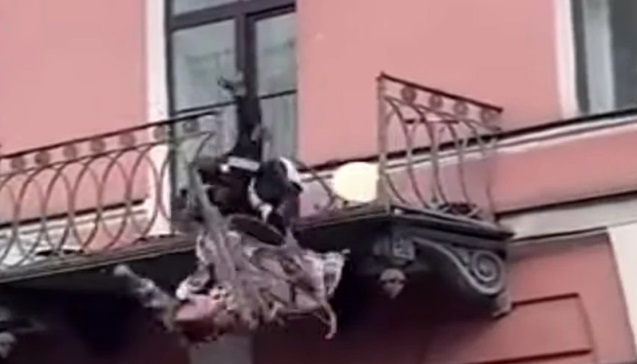 ΖΕΥΓΑΡΙ