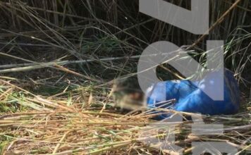 Σε νεαρό άνδρα ανήκει το πτώμα στο βαρέλι – Δολοφονία δείχνουν τα πρώτα στοιχεία