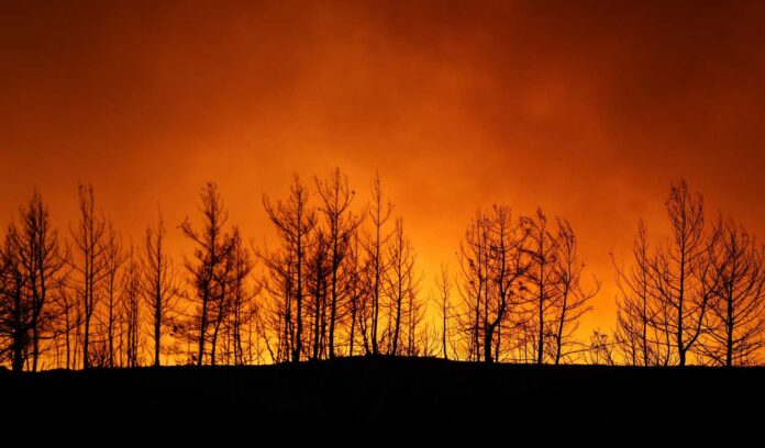TURKEY-WILDFIRE-1536x900