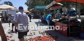 Βίντεο με χαμό σε λαϊκή αγορά μετά από έφοδο του ΣΔΟΕ