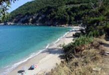 Παραλίγο σύρραξη στο Καμάρι: Ταχύπλοο έφτασε επικίνδυνα κοντά στους λουόμενους και ακολούθησε άγριος καβγάς