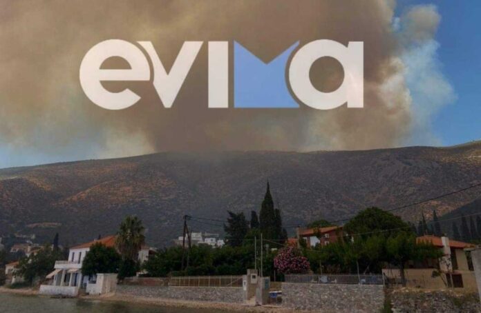stira-1536x1001