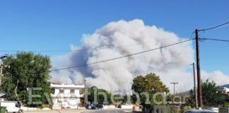 Tεράστιο σύννεφο καπνού στο Πευκί (video)