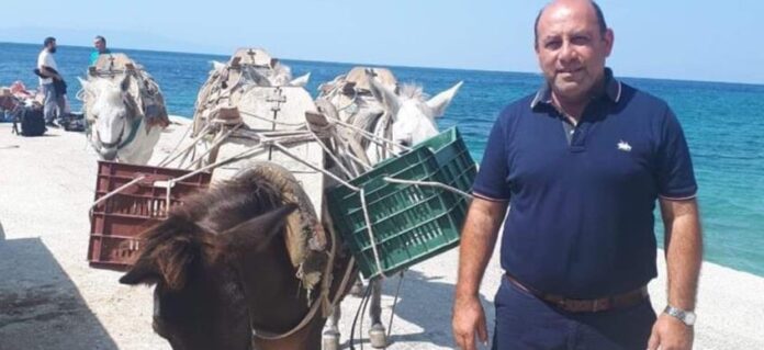 cache_846x3000_Analog_medium_848928_329720_1782021