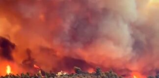 Ασύλληπτες εικόνες από τον πύρινο εφιάλτη στην Εύβοια: Ολιγωρία καταγγέλουν τοπικοί άρχοντες
