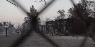 Φωτιά Βαρυμπόμπη: Κλείστηκε στο σπίτι του, γιατί δεν τον άφηναν να πάρει τα σκυλιά του