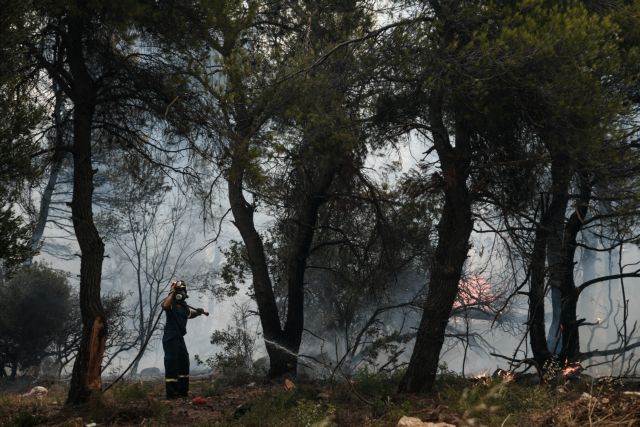 ΠΥΡΚΑΓΙΑ ΣΤΗΝ ΒΟΡΕΙΟΑΝΑΤΟΛΙΚΗ ΑΤΤΙΚΗ (EUROKINISSI/ΜΙΧΑΛΗΣ ΚΑΡΑΓΙΑΝΝΗΣ)
