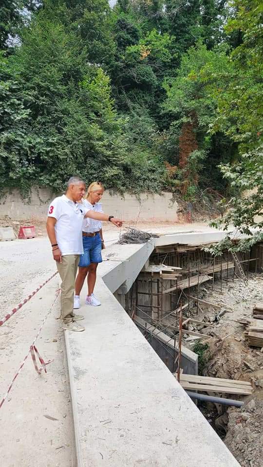 odiko diktyo Piliou