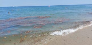Δεν πίστευαν στα μάτια τους με αυτά που ξέβρασε η θάλασσα