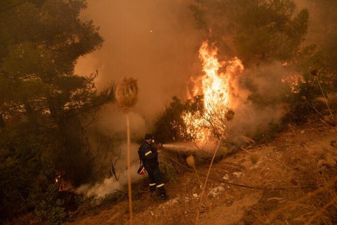Euboea; Evia; Galatsona; Greece; climate change; disaster; ecological disaster; extinguish; fire Department; firefighter; nature; wildfire; wildifre; Γαλατσώνα; Ελλάδα; Εύβοια; κατάσβεση; κλιματική αλλαγή; κλιματική κρίση; πυροσβέστης; πυροσβεστική; φωτιά;