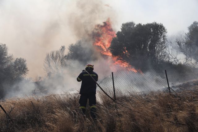 Athens; Attica; fire; fire brigade; fire fighters; firefighter; Keratea; smoke; summer wildfires; wildfire; Αθήνα; Αττική; Κερατέα; καλοκαιρινές πυρκαγιές; καπνός; κατάσβεση; πυρκαγιά; πυροσβέστης; πυροσβεστική; φωτιά;