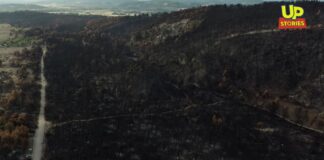 Εύβοια: Δείτε τις αποκαρδιωτικές εικόνες από drone ένα μήνα μετά την καταστροφική φωτιά