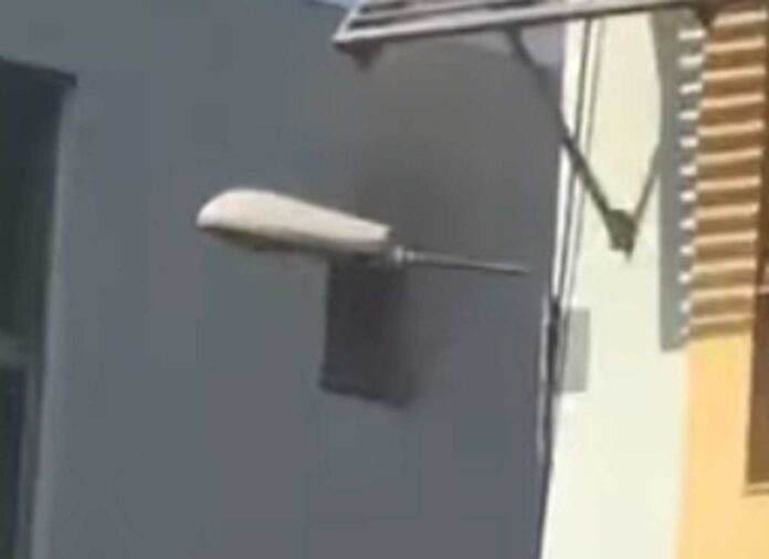 fotia_epal-1536x1117