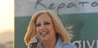 Φώφη Γεννηματά: Τα οικονομικά μέτρα της κυβέρνησης δεν μπορούν να στηρίξουν την ελληνική κοινωνία