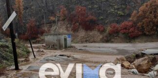ΣΥΡΙΖΑ: «Η Βόρεια Εύβοια θύμα της αφασίας του επιτελικού κράτους»