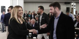 Η ανάρτηση Ανδρουλάκη για τα 2 χρόνια από το θάνατο της Φώφης Γεννηματά