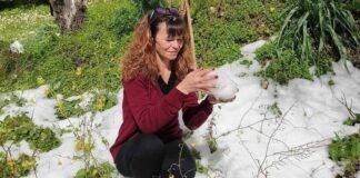 Αποκαλύψεις από φίλη της 48χρονης – «Τον φοβόταν, την είχε χτυπήσει»