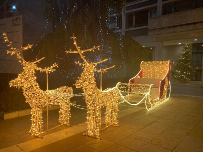 202112221945479785-1200x900