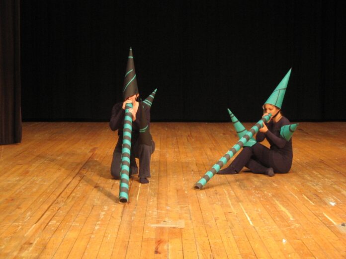 MELECTA FESTIVA (1)(1)