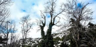 Σε εξέλιξη τα φαινόμενα με χιόνια στην Αττική