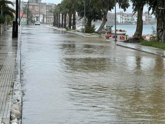 271598227_10220142748625301_8013185256927861010_n