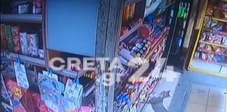 Ο κλέφτης ήταν γάτα – Βίντεο από κλοπή σε περίπτερο κάτω από τη μύτη του περιπτερά