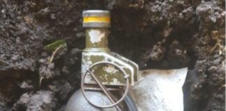 Το περιβόλι έκρυβε για 80 χρόνια μια εικόνα που δεν είχε προσέξει κανείς – Σοκ για τη γυναίκα