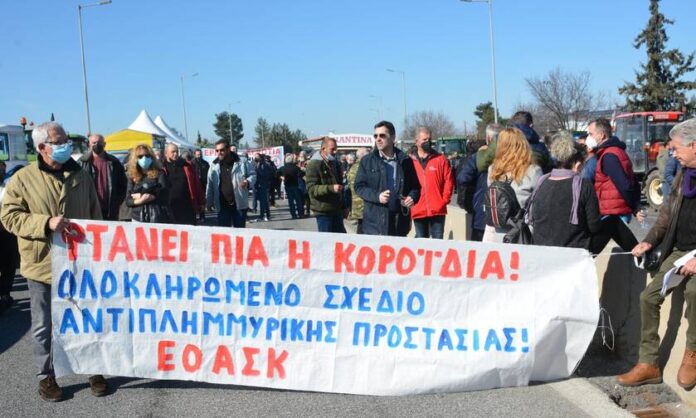 agrotes-mploko-nikaia