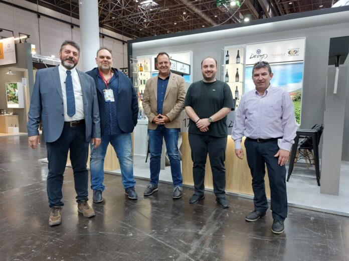 PROWEIN (1)