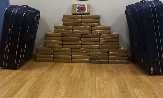 narkotika-logotipo-23