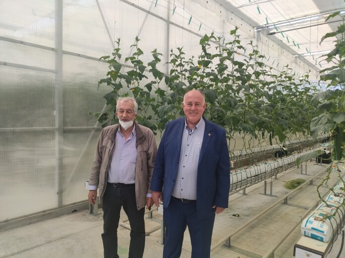 Αναμονή σε θερμοκήπιο Π.Θ. Νασίκας