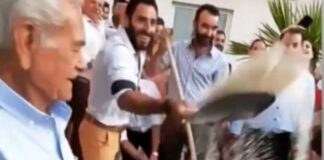 Το «τερμάτισαν» οι καλεσμένοι σε γάμο (video)
