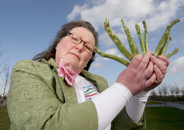 0_SWNS_ASPARAGUS_PREDICTIONS_005