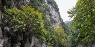 Πτώσεις βράχων στο φαράγγι του Αχέροντα – Προειδοποιεί τους επισκέπτες ο Δήμος Σουλίου