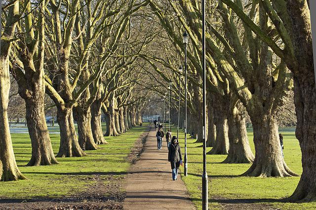cambridge-g602560b86_640