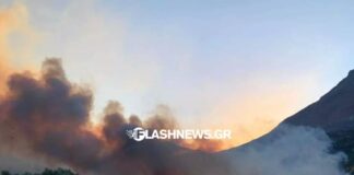 Φωτιά στο Ρέθυμνο: Χωρίς ενεργό μέτωπο αλλά με συνεχείς αναζωπυρώσεις – Χιλιάδες στρέμματα καμένα