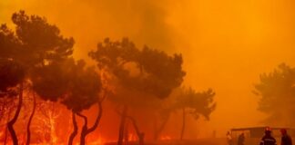 Ο καύσωνας «Cleon» έρχεται από την Αφρική και αυξάνει τον κίνδυνο πυρκαγιάς σε όλη τη χώρα