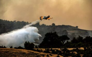 Ο τραγικός απολογισμός των πυρκαγιών του Ιουλίου – Στάχτη πάνω από 130.000 στρέμματα δάσους