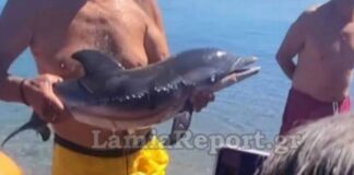 Αυτές οι στενάχωρες εικόνες σταμάτησαν τα γέλια στην παραλία από τη μια στιγμή στην άλλη