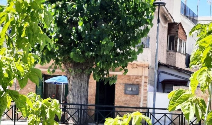 καραμπατζακη