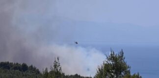 Πόρτο Γερμενό: Μάρτυρας αναφέρει ότι είδε μηχανάκι που έφευγε βιαστικά τη στιγμή που ξέσπασε η φωτιά