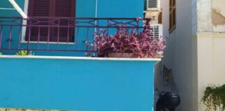Τους διέκοψε την ώρα που ερωτοτροπούσαν στον δρόμο και αυτοί την… εκδικήθηκαν