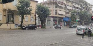 Από θαύμα γλίτωσε νεαρός που έπεσε δέντρο στο αυτοκίνητο του